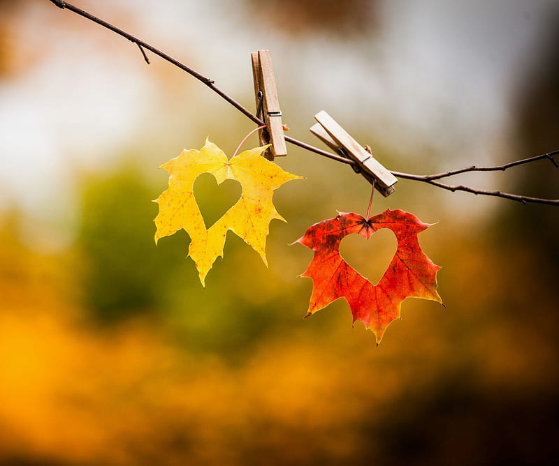 Amor de Otoño