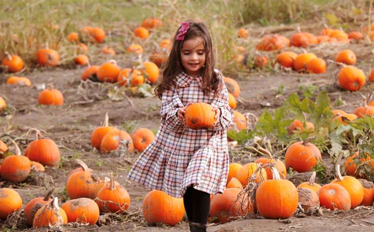 Peaches & Pumpkin Patch