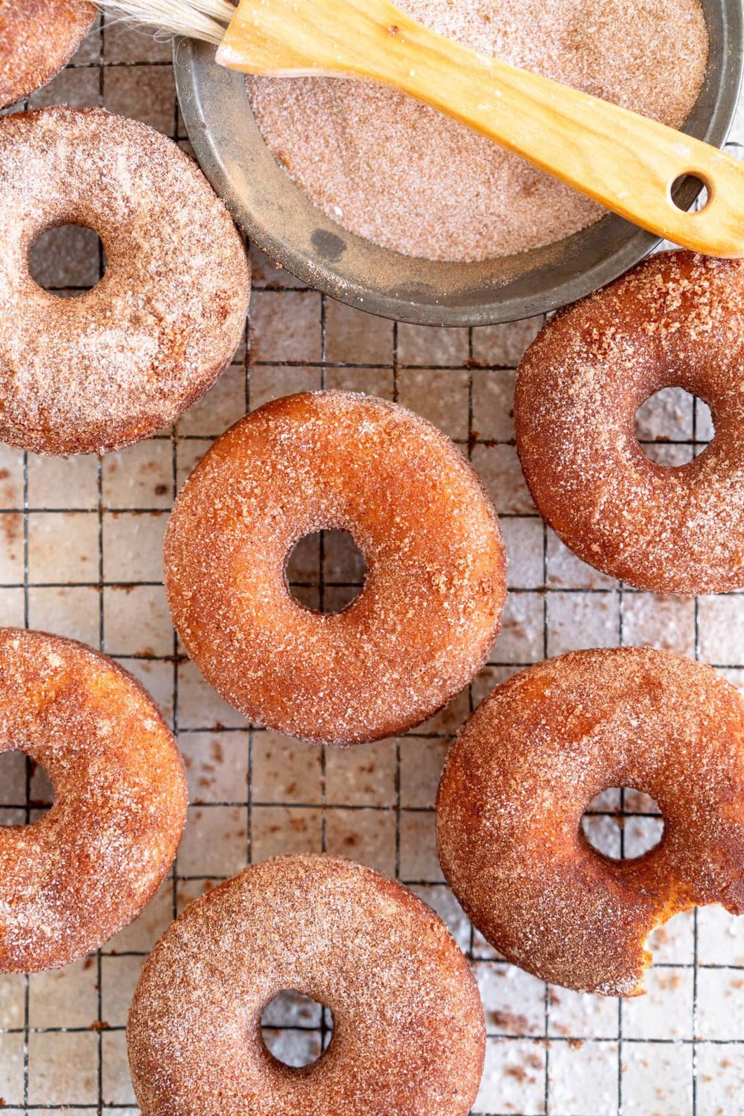 Cinnamon Sugared Doughnut
