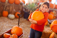 Load image into Gallery viewer, Peaches &amp; Pumpkin Patch