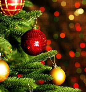 Christmas Tree - Clamshell