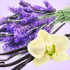 Lavender &amp; Vanilla